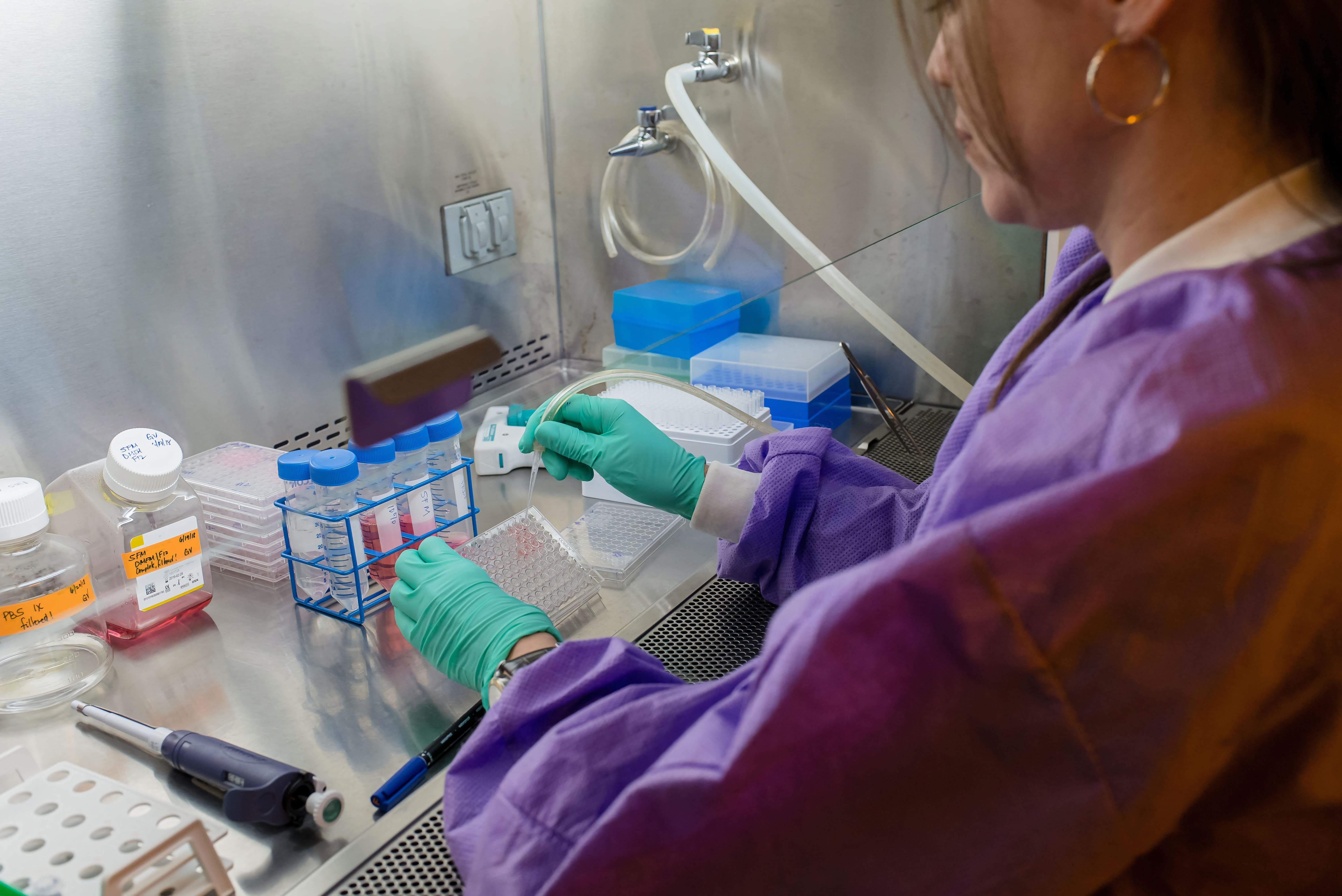 Click to start gallery Thumbnail 13