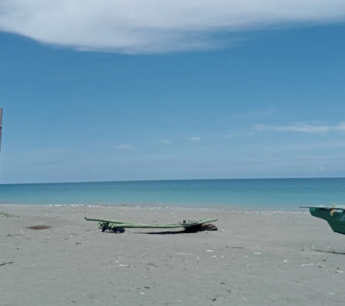 Another relevant image description